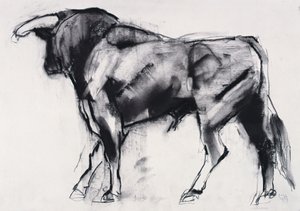 Toro Azul, studie