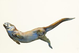 Fluweel, 2014 door Mark Adlington