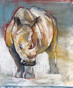 Witte neushoorn, Ol Pejeta, 2018
