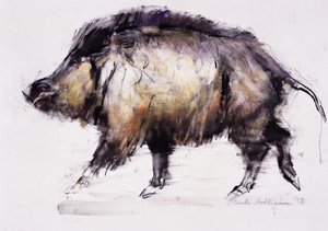 Wild Zwijn, 1999 door Mark Adlington