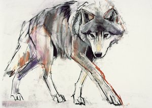 Wolf door Mark Adlington