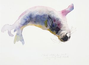 Jonge grijze zeehond, Gweek, 2003 door Mark Adlington