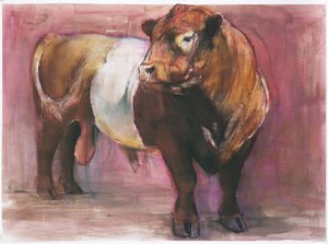 Zeus, Red Belted Galloway Bull, 2006