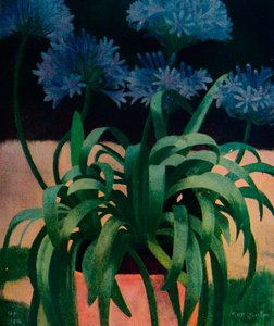 Agapanthus, 1914, ca. 1932
