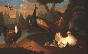 Landschap met verschillende vogels