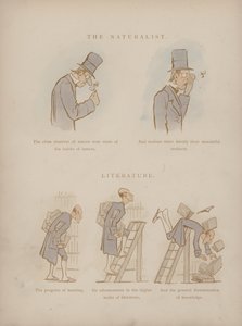Pagina uit de Humours of Cynicus (gekleurde gravure) door Martin  Anderson
