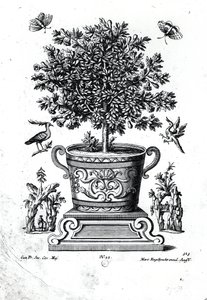 Sierboom in een urn op een klein podium door Martin Engelbrecht