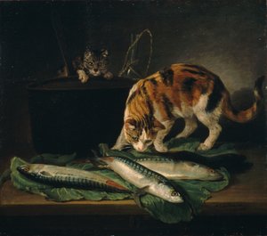 Katten en vissen