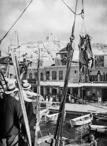 Het verschepen van muilezels, Syros Eiland, Griekenland, 1937 door Martin Hurlimann