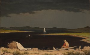 Naderende Onweersbui door Martin Johnson Heade