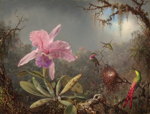 Cattleya Orchidee en Drie Kolibries, 1871
