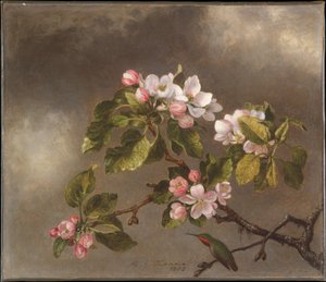  door Martin Johnson Heade