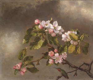 Kolibrie en appelbloesems, 1875