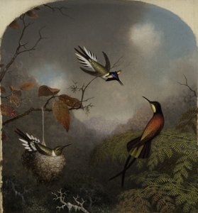 Kolibries: Twee zonjuwelen en een karmozijnrode topaas, 1866 door Martin Johnson Heade