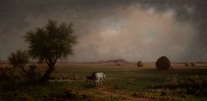 Merrie en veulen in een moeras