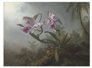 Roze orchideeën en kolibrie op een tak, 1875