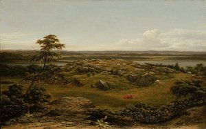 Rotsen in New England door Martin Johnson Heade
