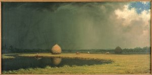 Zoutmoerashooi, ca.1865 (olieverf op doek)