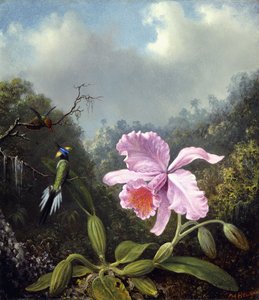 Stilleven met orchidee en paar kolibries, ca. 1890s