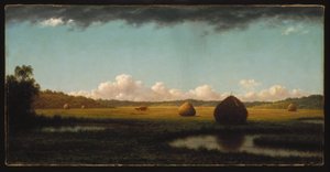 Zomerse douches door Martin Johnson Heade