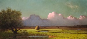 Zonlicht en schaduw: de Newbury Marshes door Martin Johnson Heade