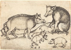 Familie van varkens door Martin Schongauer