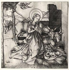 Het Leven van Christus: De Geboorte door Martin Schongauer