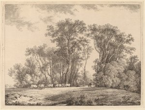 Een weide met vee aan de rand van een bos