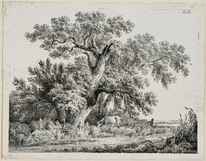 Landschap door Martin von Molitor
