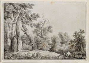 Landschap