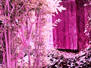 Bij het tuinhuis door Martina Konitzky
