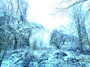 Winter Blauw door Martina Konitzky
