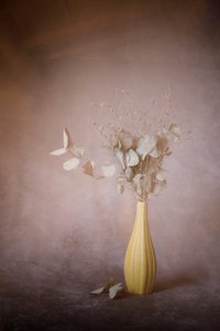  door Martine Benezech