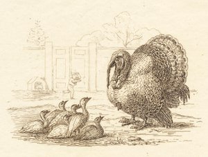 Illustratie voor "Halvhundrede Fabler for Børn" van Hey door Martinus Rørbye