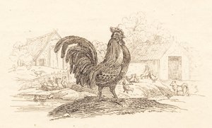 Illustratie voor "Vijftig fabels voor kinderen" door Hey door Martinus Rørbye