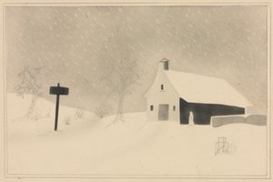 Sneeuwstorm in Vermont door Mary Altha Nims