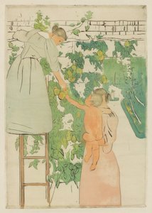 Fruit plukken, ca. 1893