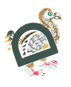 D is voor dodo door Mary Kuper