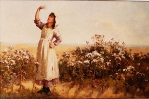 Distelpluis door Mary Louise Breakell