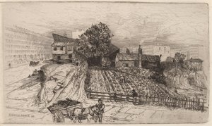 Een stadsboerderij—New York door Mary Nimmo Moran