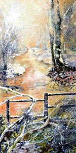 Vroege winterochtend langs Markeaton beek door Mary Smith
