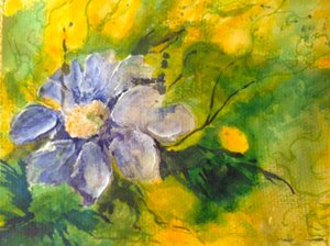 Clematis in de avondzon door Mary Smith