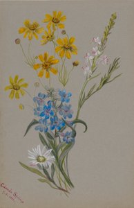 (Zonder titel, groep bloemen)