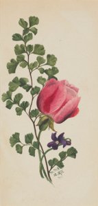 Roze Roos met Viooltje