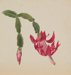 Zonder titel - Bloemenstudie, 1878