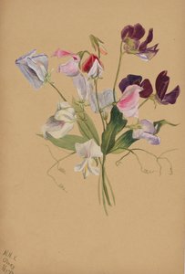 Zonder titel - Bloemenstudie
