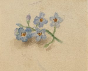 Zonder titel, 1874 door Mary Vaux Walcott