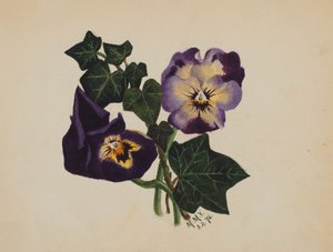 Zonder titel: Viooltjes en klimop door Mary Vaux Walcott