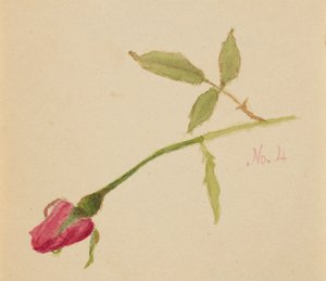 Zonder titel Roos, 1872