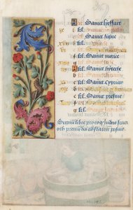 Bloemenpaneel met acanthus, roze en rups, uit de Getijden van Lodewijk XII, 1498-99